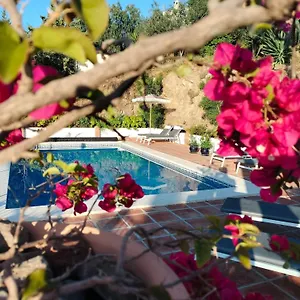 Flamenco Adults Only Bed & Breakfast Pizarra